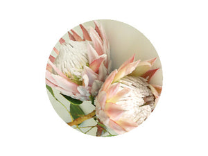 Tableart Coasters  Round  6pk - King Protea Pink