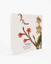 Load image into Gallery viewer, Hayward & Haines Gift Card - Hoopoe Holiday