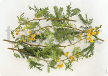 Load image into Gallery viewer, Tableart Reusable Placemats Rectangular 4 pack - Acacia Karoo