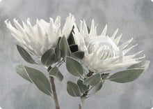 Load image into Gallery viewer, Tableart Reusable Placemats Rectangular 4 pack  - Double White King Protea