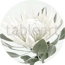Load image into Gallery viewer, Tableart Placemats Round 4pk - White King Protea