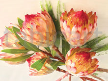 Load image into Gallery viewer, Tableart Disposable Placemats - Protea Robijn (Red)