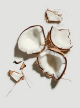 Load image into Gallery viewer, Summer & Salt Coconut Cream Lip Scrub