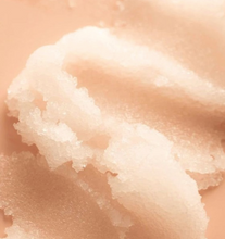 Load image into Gallery viewer, Summer & Salt Coconut Cream Lip Scrub
