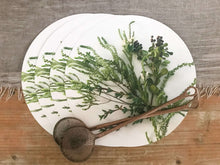 Load image into Gallery viewer, Tableart Placemats Round 4 pack - Fynbos
