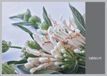 Load image into Gallery viewer, Tableart Disposable Placemats - Wild Dagga