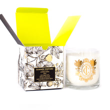 Load image into Gallery viewer, Cape Island Large Scented Candle - Summer Vineyard