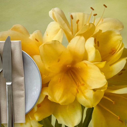 Tableart Disposable Placemats Large - Clivia
