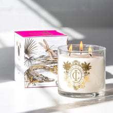 Load image into Gallery viewer, Cape Island Large Scented Candle - Wild Coast