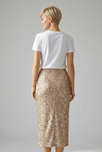 Load image into Gallery viewer, Jo Champ Velvet Sequin Skirt - Nude
