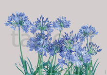 Load image into Gallery viewer, Tableart Disposable Placemats - Agapanthus
