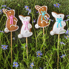 Load image into Gallery viewer, Harck &amp; Heart Gingerbread Bunny Pop - Brown
