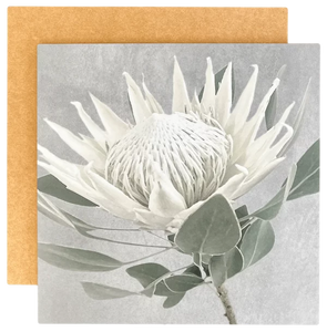 Tableart Hard Board Placemats  2 Pack - Slate Grey