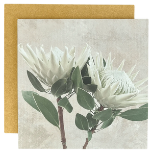 Tableart Hard Board Placemats 2 Pack - Oatmeal
