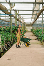 Load image into Gallery viewer, Elula Stevie Dress - Harvest
