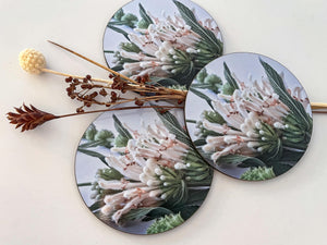 Tableart Coasters  Round 6pk - Wild Dagga