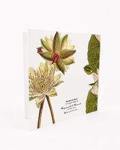 Load image into Gallery viewer, Hayward &amp; Haines Gift Card - Botanical Buzz
