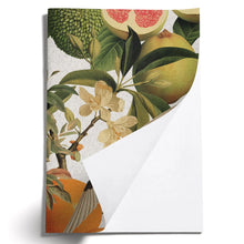 Load image into Gallery viewer, Moon &amp; Back Oh So Lovely Gift Set - Swallows
