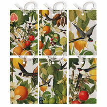 Load image into Gallery viewer, Moon &amp; Back Oh So Lovely Gift Set - Swallows

