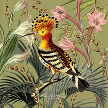 Load image into Gallery viewer, Hayward &amp; Haines (RPET) Cushion Cover 55x55cm  - Olive Hoopoe Holiday
