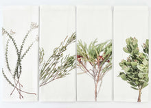 Load image into Gallery viewer, Tableart Cotton Fabric 2Pk Napkins - Fynbos 4
