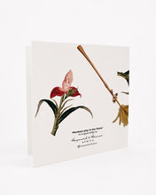 Load image into Gallery viewer, Hayward &amp; Haines Gift Card - Monkeys Play on Palms White
