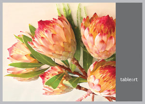 Tableart Disposable Placemats - Protea Robijn (Red)
