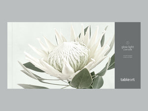 Tableart Lantern - White King Protea