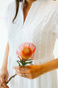 Trinity Shea White Anglaise Dress