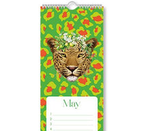 Load image into Gallery viewer, Macaroon Celebration Calendar - Lumo Leopard
