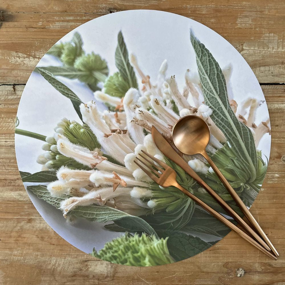 Tableart Placemats Round 4 pack - Wild Dagga