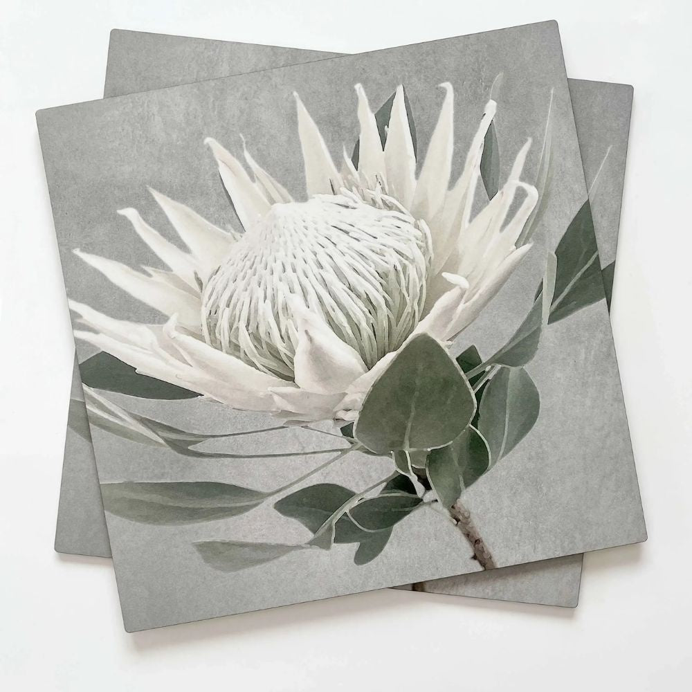 Set of 2 hardwood square Tableart placemats with white king protea on slate grey background