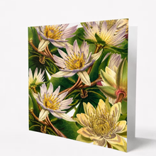 Load image into Gallery viewer, Greeting card with a floral design of water lilies on a white background
