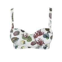 Load image into Gallery viewer, A white balconette bikini top featuring a detailed print of seashells and red coral, shown against a plain white background.
