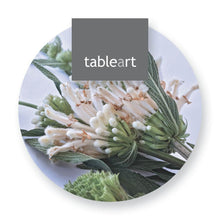 Load image into Gallery viewer, Round Tableart coasters with wild dagga print
