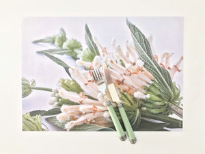 Tableart Disposable Placemats - Wild Dagga