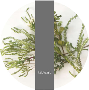 Tableart Placemats Round 4 pack - Fynbos