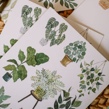 Load image into Gallery viewer, Moon &amp; Brush Greeting Card Set - Houseplant
