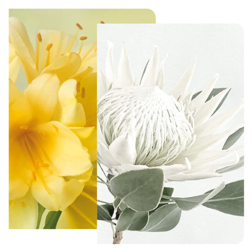 Tableart 2pk Notebooks - Clivia & White King Protea