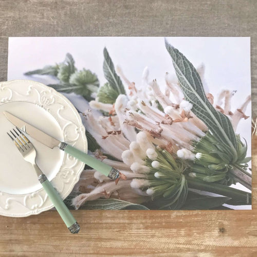 Tableart Disposable Placemats - Wild Dagga